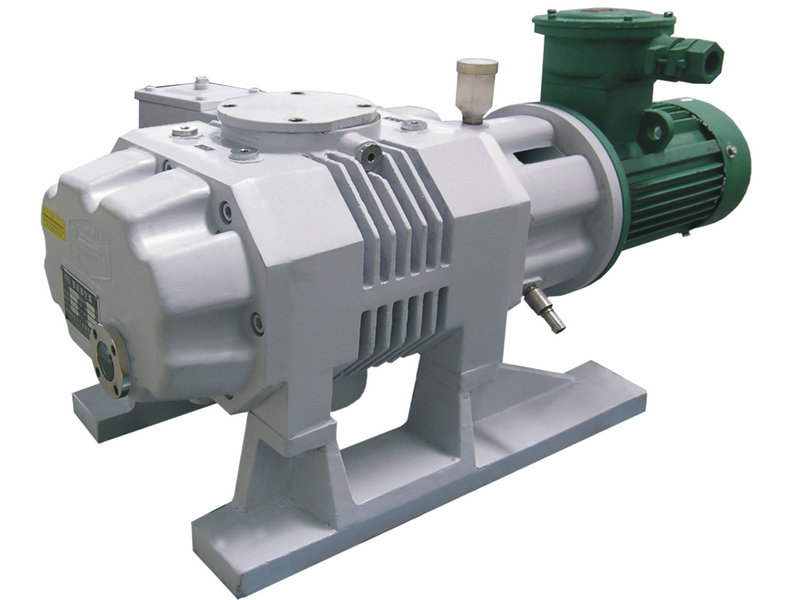 羅茨真空泵怎么進(jìn)行防腐措施 羅茨真空泵怎么進(jìn)行防腐措施