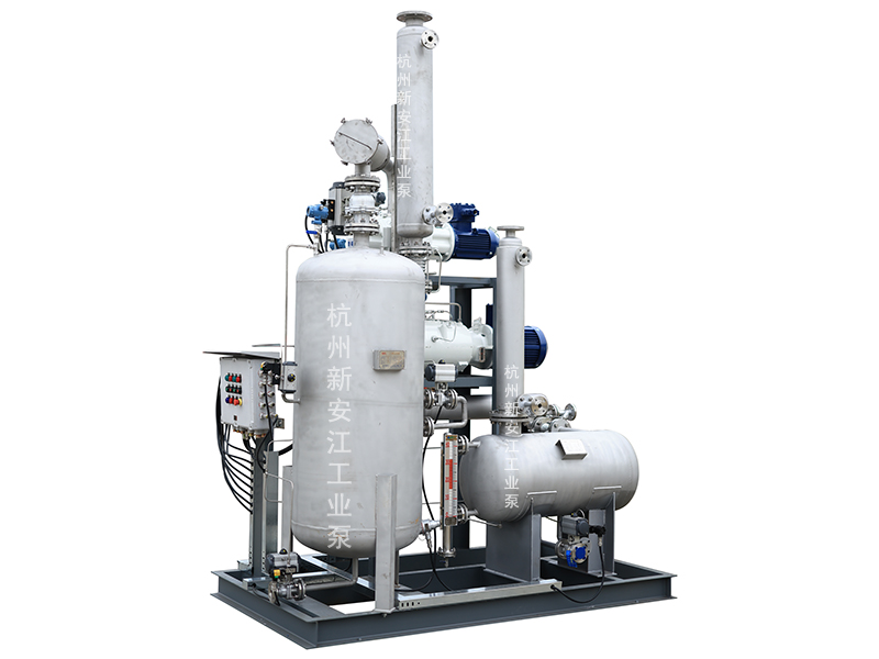 集成化羅茨螺桿真空系統(tǒng)，高效穩(wěn)定，勝任復雜苛刻工藝-杭州新安江工業(yè)泵有限公司