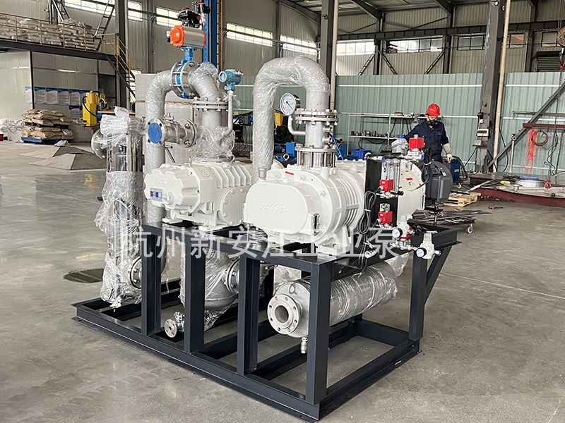 干式螺桿真空泵-杭州新安江工業(yè)泵有限公司 (2)